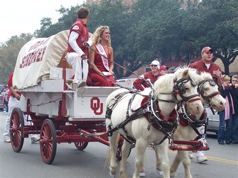 Traditions and Rituals: Paying Homage to the Sooner Horse Mascot